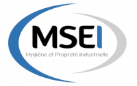 Logo MSEI
